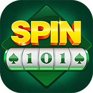 SPIN 101